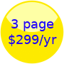 3page page website package for $199per year