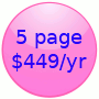 5page website package for $299per year